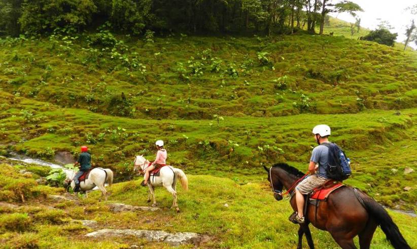 Horsebackriding 1 Orig