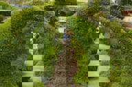 Zarcero1 Orig