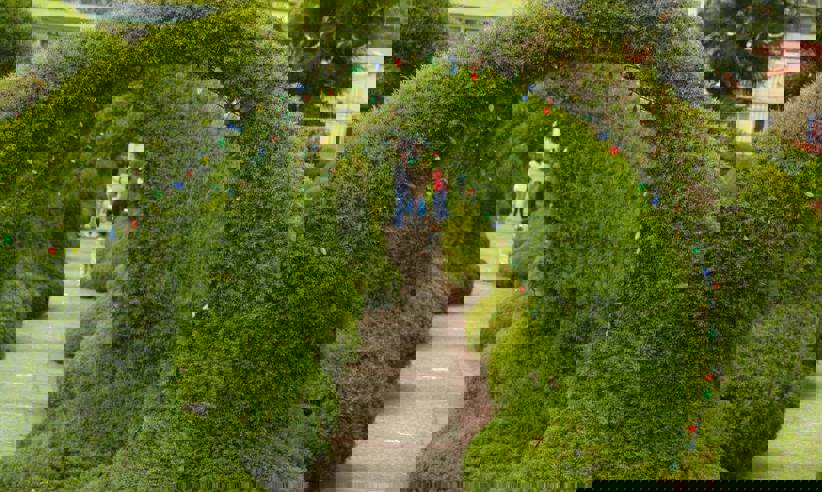 Zarcero1 Orig