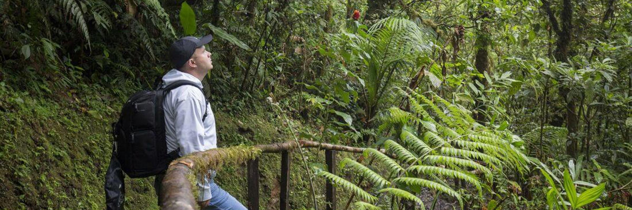 Hiker pausing on a moss-covered trail in the lush, green rainforest of Bajos del Toro. 
