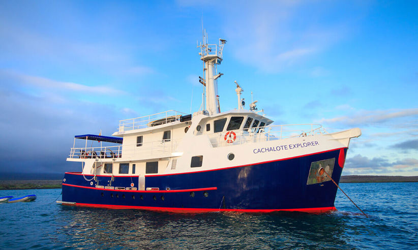The Cachalote Explorer offers good comfort, a quality experience and exceptional value