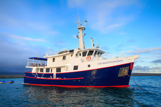 The Cachalote Explorer offers good comfort, a quality experience and exceptional value