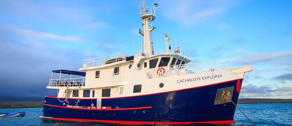 The Cachalote Explorer offers good comfort, a quality experience and exceptional value