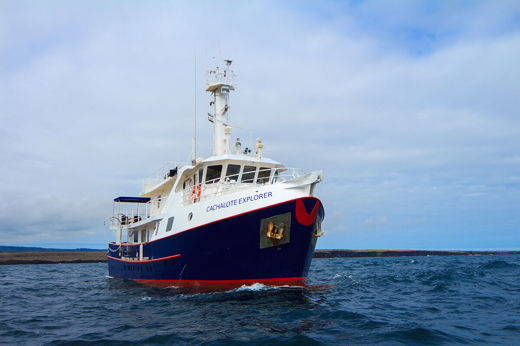 Experience the Galapagos Islands on the Cachalote Explorer