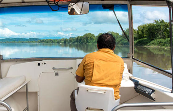 A local guide navigates through the wetlands of Guanacaste, offering a glimpse into Costa Rica's diverse ecosystems. 