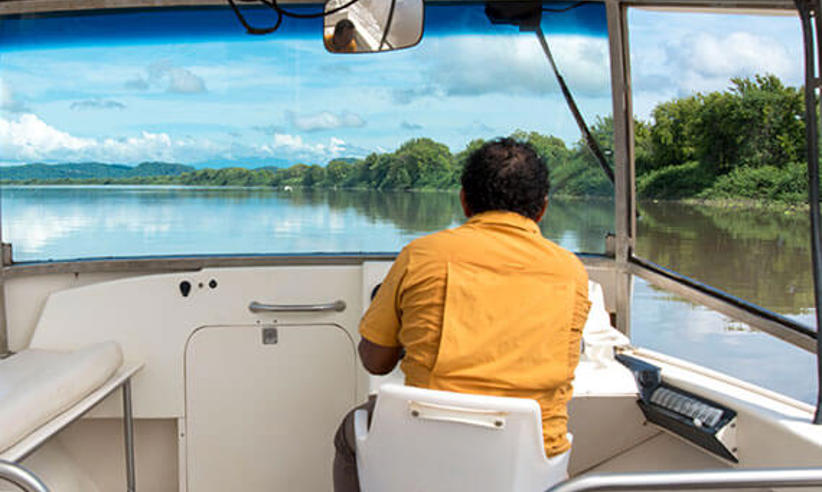 A local guide navigates through the wetlands of Guanacaste, offering a glimpse into Costa Rica's diverse ecosystems. 