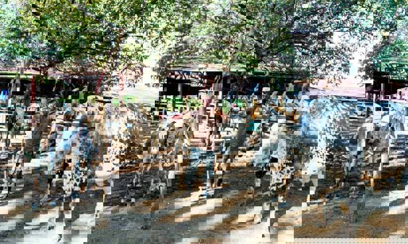 Hotel Surroundings 003
