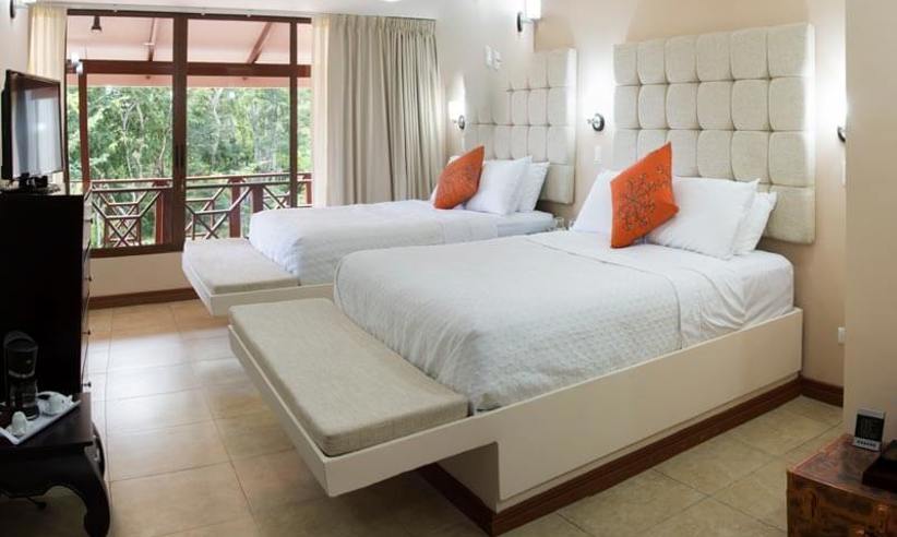 Rooms Standard 2 Ny5afyqrxeuiz0gnmakf69t4vlz04fvm1wph6wqgs0