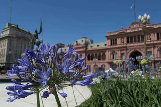 Blooming flowers frame the Casa Rosada, Argentina's iconic presidential palace. 