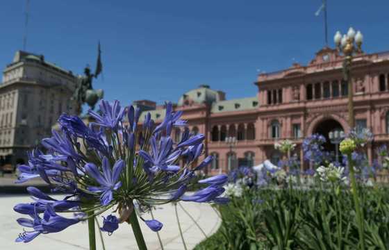 Blooming flowers frame the Casa Rosada, Argentina's iconic presidential palace. 