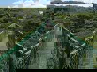 Monteverde