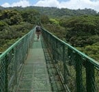 Pont suspendu à Monteverde