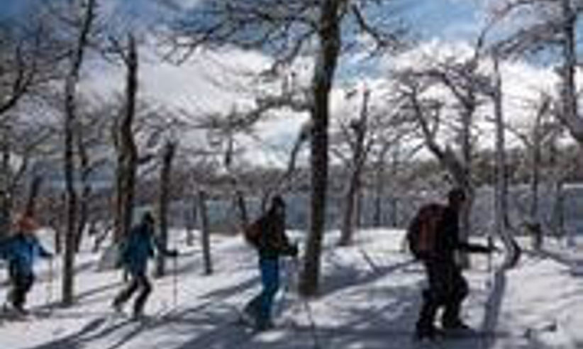 Snow Shoeing