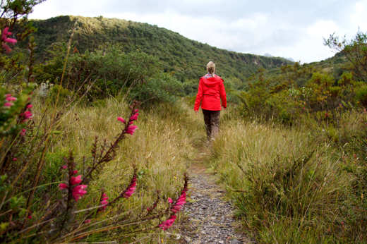 Explore the trails