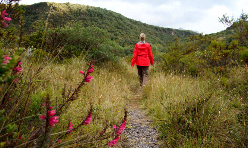 Explore the trails