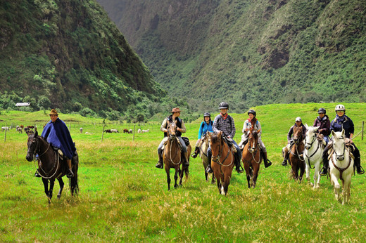 Horse Riding