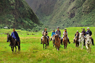 Horse Riding