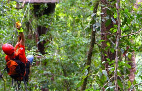 A man ziplining through the lush green canopy of the Costa Rican rainforest, surrounded by dense tropical vegetation.