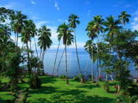 Tall palms frame the tranquil Gulf of Dulce at Playa Cativo, with lush lawns rolling toward the oceanfront. 