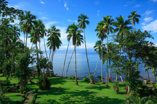 Tall palms frame the tranquil Gulf of Dulce at Playa Cativo, with lush lawns rolling toward the oceanfront. 