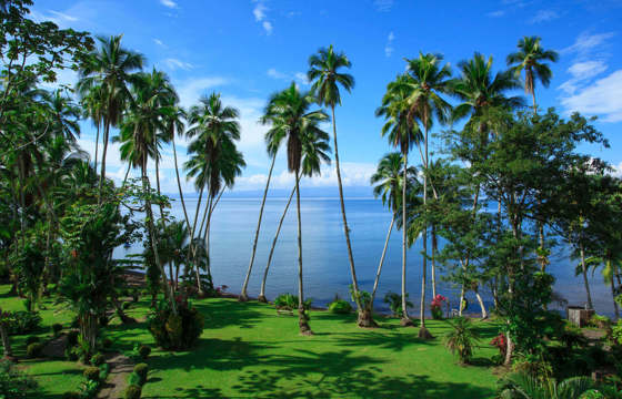 Tall palms frame the tranquil Gulf of Dulce at Playa Cativo, with lush lawns rolling toward the oceanfront. 