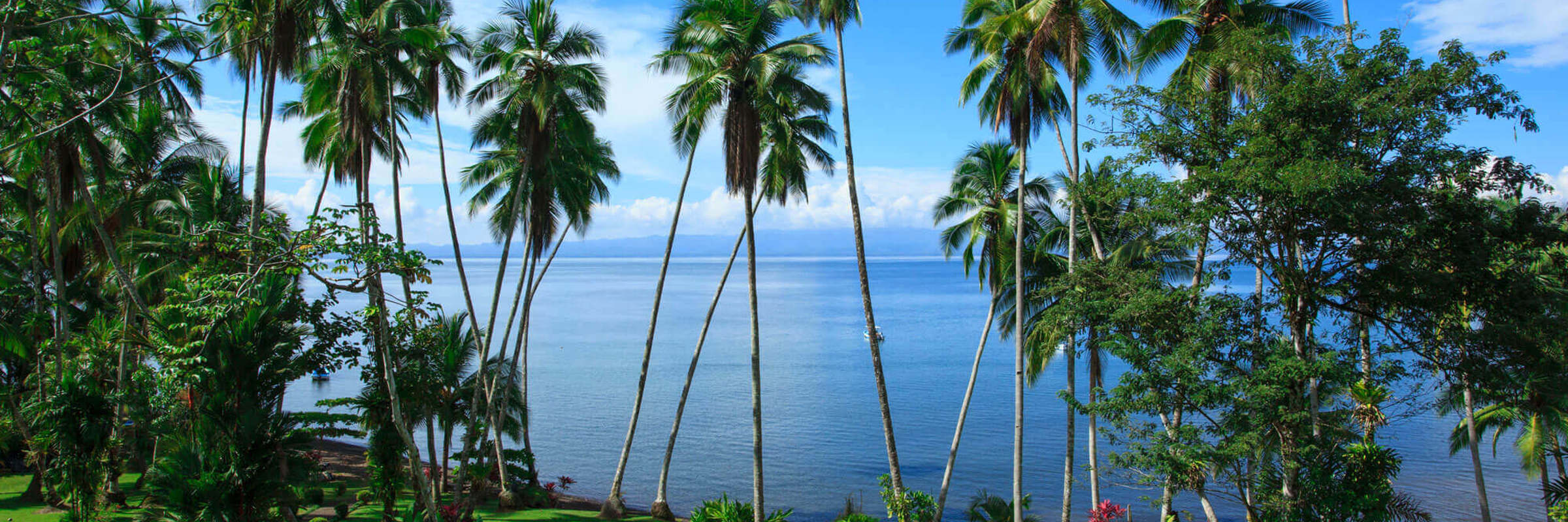 Tall palms frame the tranquil Gulf of Dulce at Playa Cativo, with lush lawns rolling toward the oceanfront. 