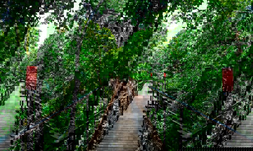 Walkway