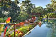 Nayara Springs