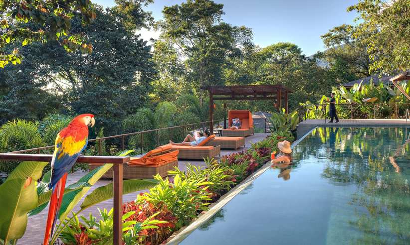 Nayara Springs