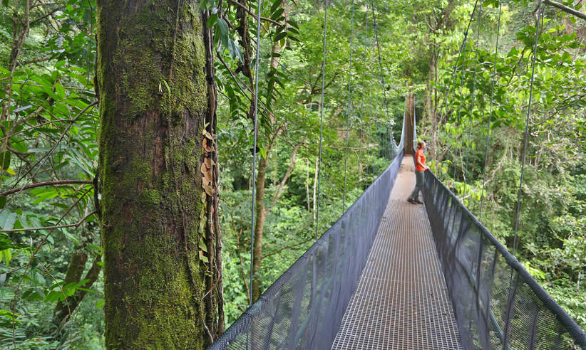 Suspension Bridge 1