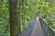 Suspension Bridge 1