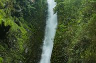Waterfall Ec