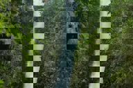 Waterfall Ec