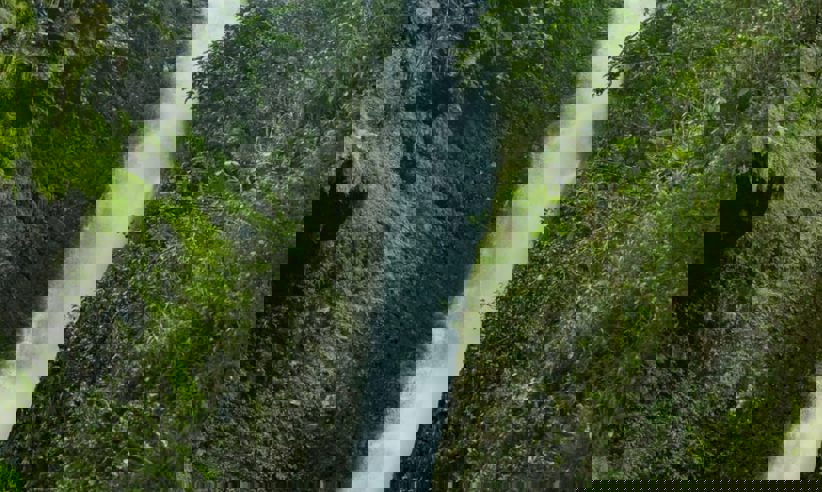 Waterfall Ec