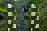 Waterfall Ec