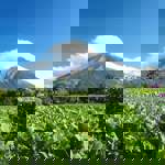 Image for: Volcano 2259249 1920