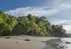 Peaceful beach scene with tropical forest and gentle waves at Manuel Antonio National Park. 