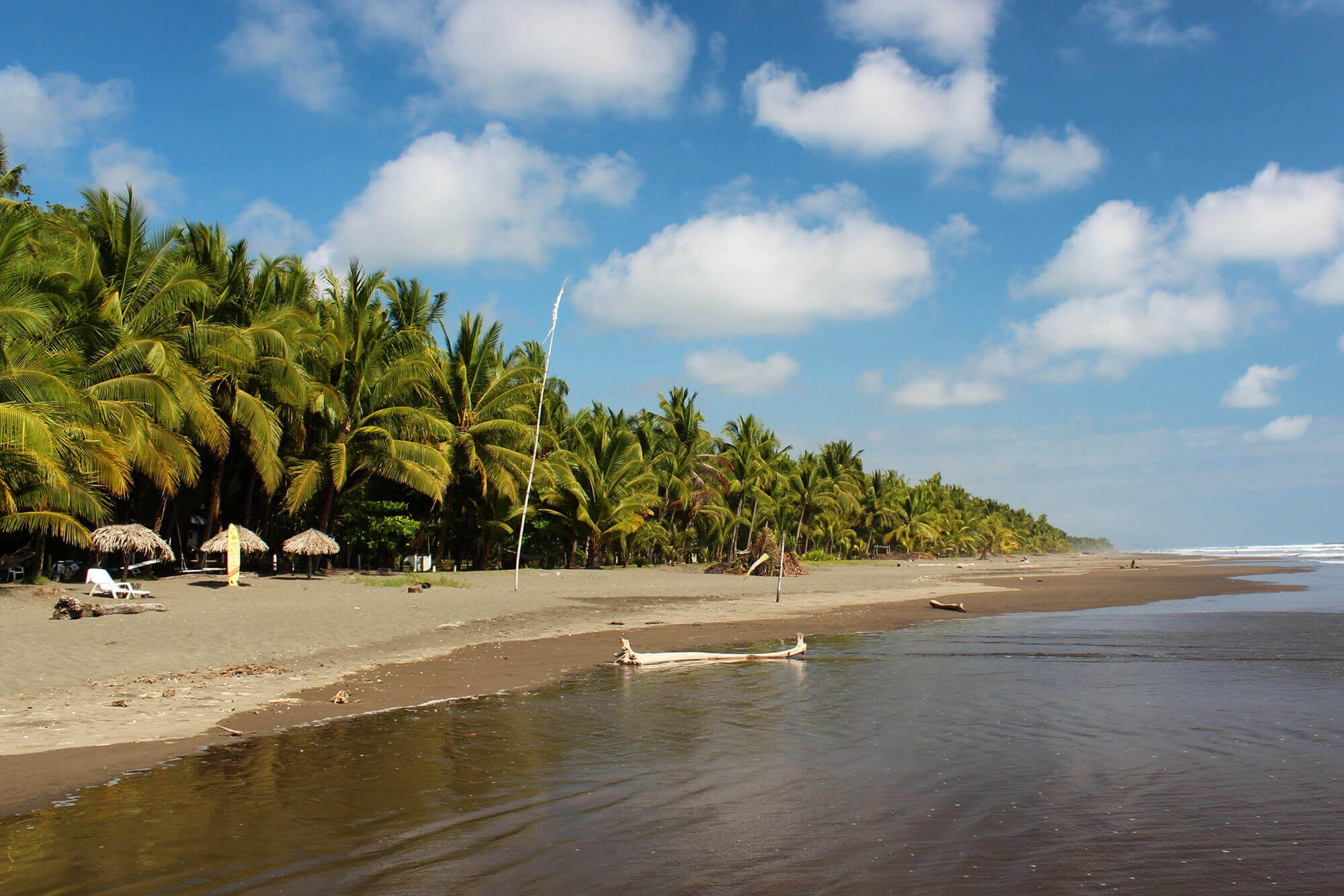 Wide sandy beach lined with palm trees and shaded loungers under a bright blue sky at Playa Esterillos, Costa Rica. 