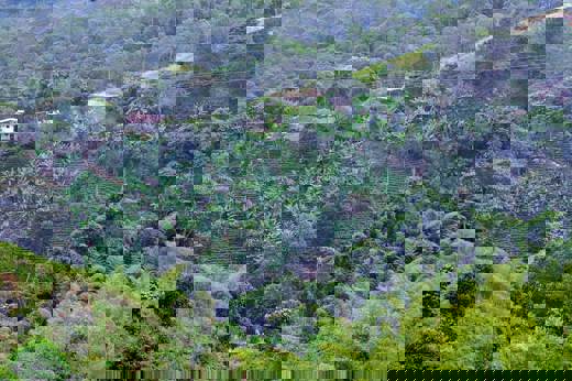 1746 Coffee Region