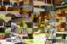 Mon Gst Courtyard06 1600X708