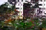 3058 Tamarindo Diria
