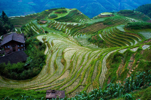 3888 Longji Rice Terraces