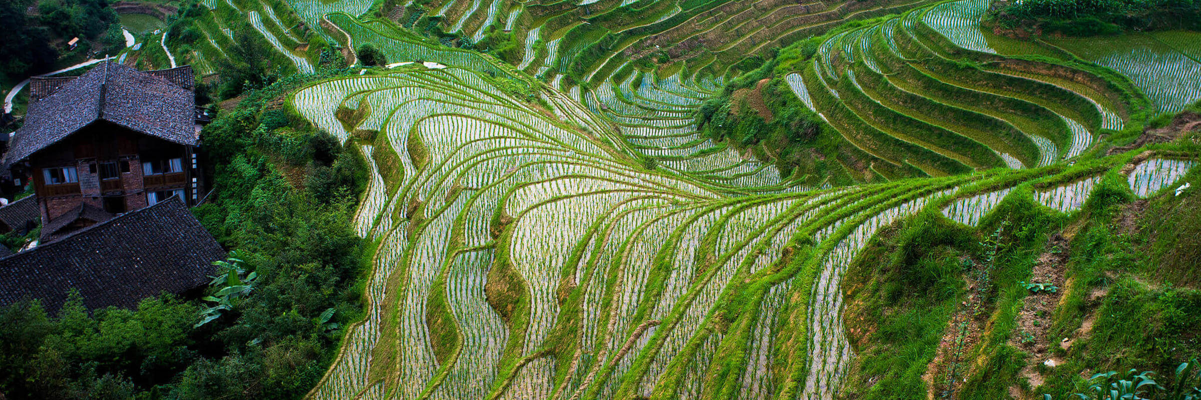 3888 Longji Rice Terraces