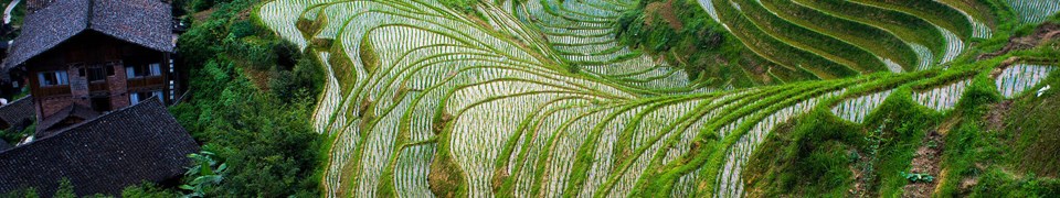 3888 Longji Rice Terraces