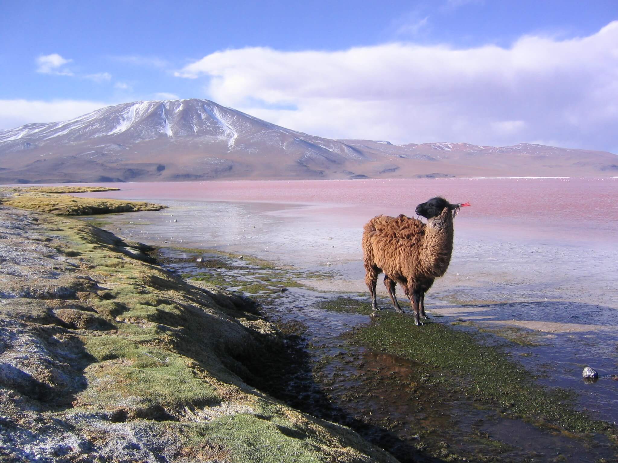 3966 Lagoons Of The Southern Altiplano