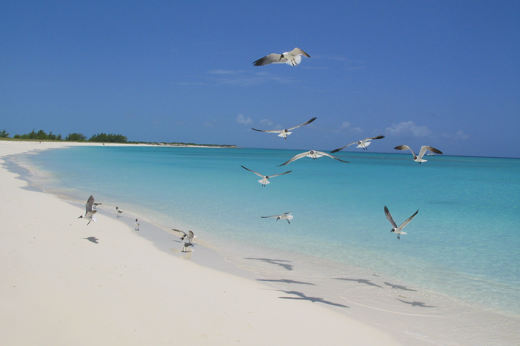 1751 Turks & Caicos Islands