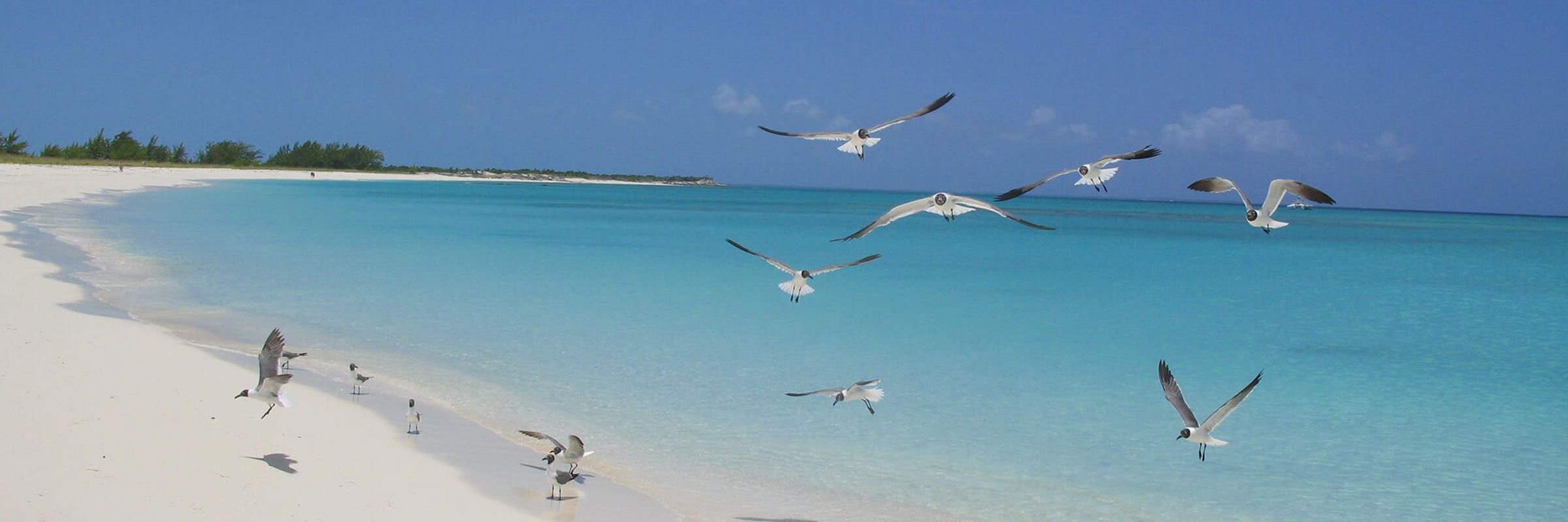 1751 Turks & Caicos Islands