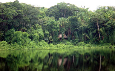 Image for: 2104 Chiminos Island Lodge