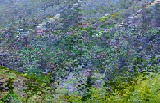 Coffee Region