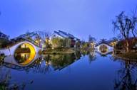 6440 Banyan Tree